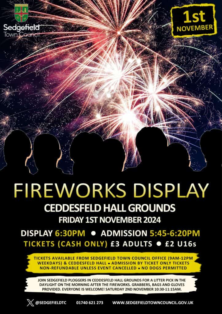 Fireworks Display Poster 2024