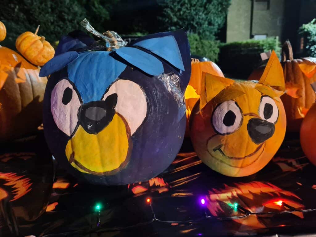 Display of pumpkins