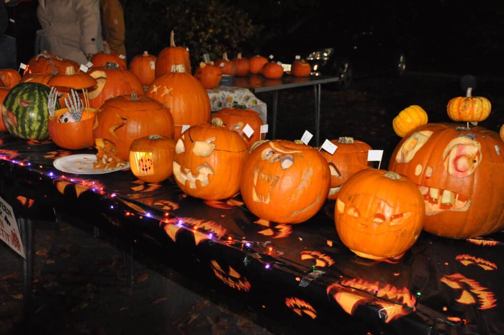 Display of pumpkins